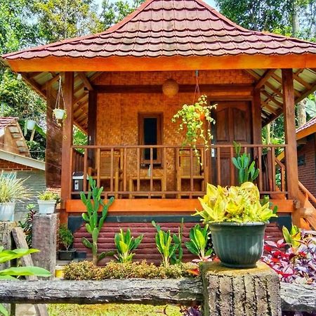 Pondok Rinjani Bungalow Tetebatu Extérieur photo